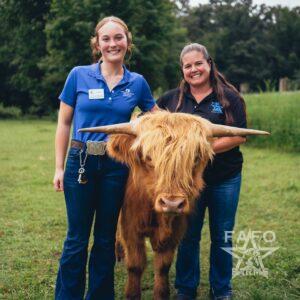 Blaze (SUPERSTAR) Bull - Highland